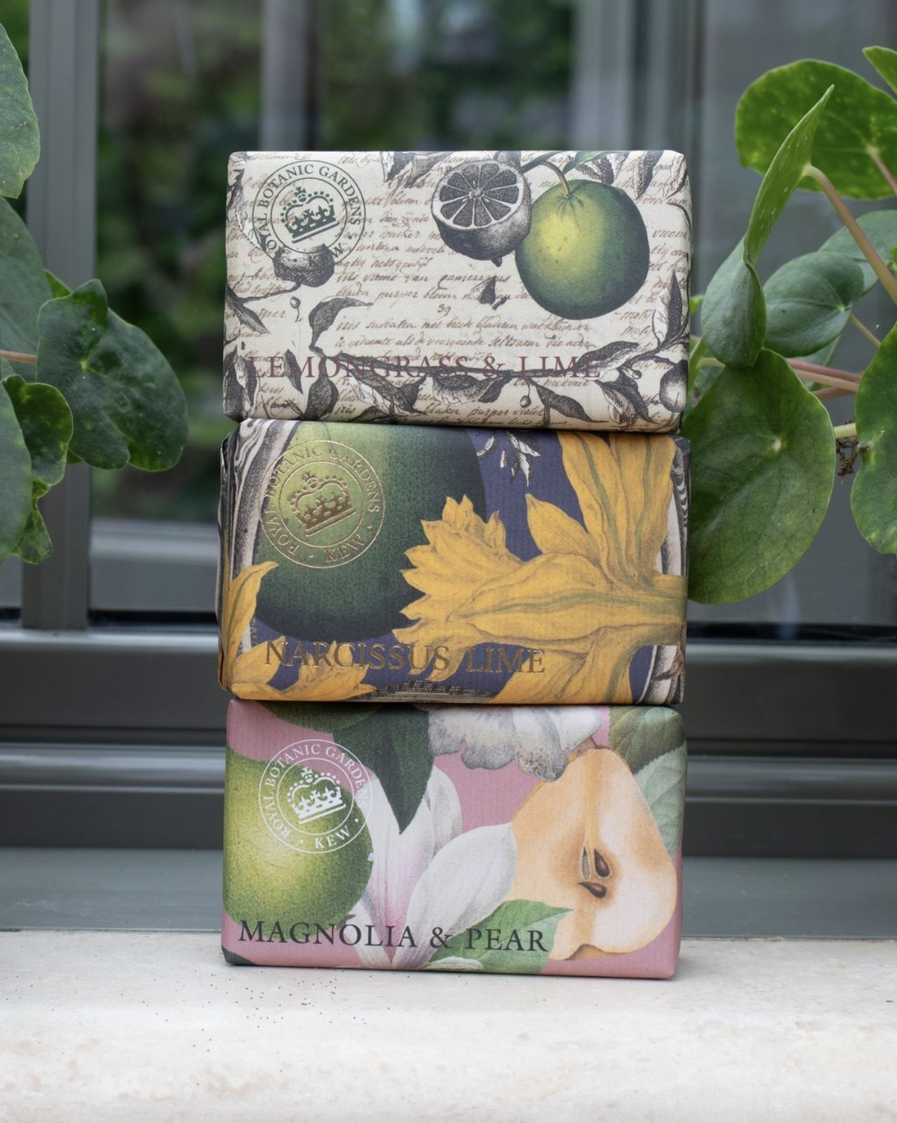 heyguzz-kew-rbg-soap-04